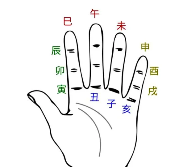 十二地支深度解析-听雷观止录