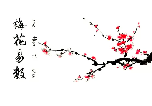 “观梅数”万法理最先-听雷观止录