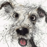 文和的头像-听雷观止录