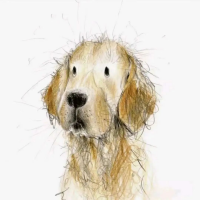 Lanmanwoniu的头像-听雷观止录