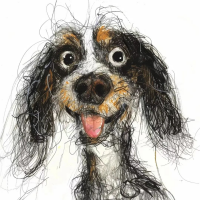 无序的头像-听雷观止录