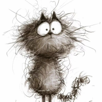 至臻的头像-听雷观止录